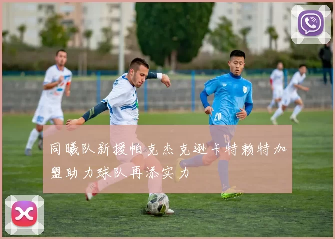 同曦队新援帕克杰克逊卡特赖特加盟助力球队再添实力