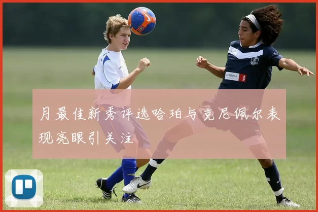 月最佳新秀评选哈珀与克尼佩尔表现亮眼引关注